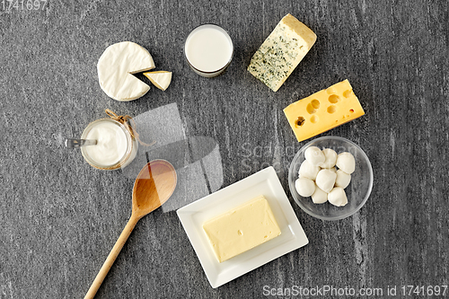 Image of different kinds of cheese, milk, yogurt and butter