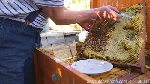 Image of Extracting honeycomb from hive cluster