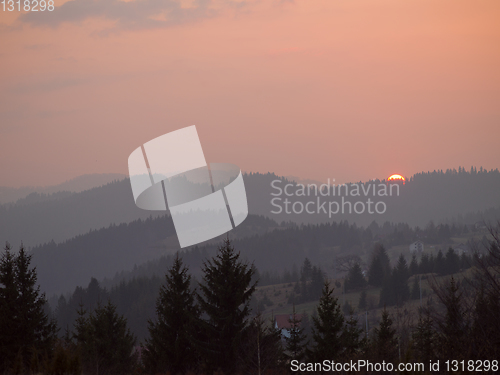 Image of forest sunset