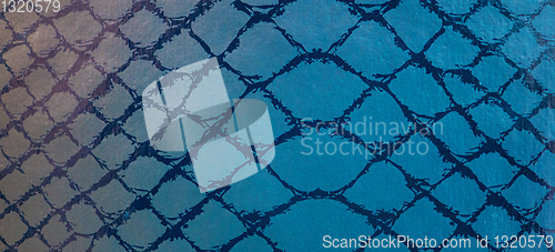 Image of snake skin