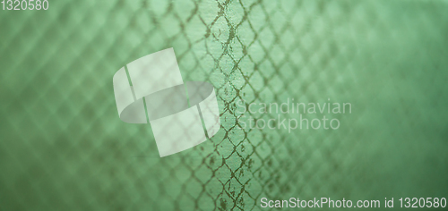 Image of snake skin