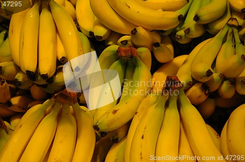 Image of Bananas