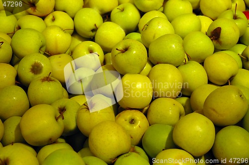 Image of Apples on display