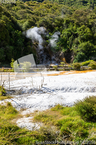 Image of volcanic activities at waimangu