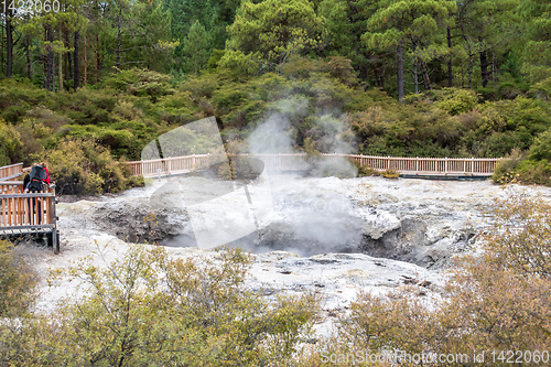 Image of geothermal activity at Rotorua in New Zealand