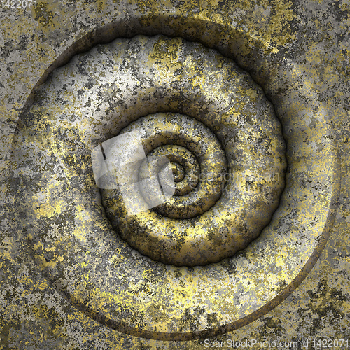 Image of petrification spiral