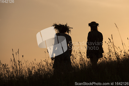 Image of Silhouettes of People picking flowers during midsummer soltice 