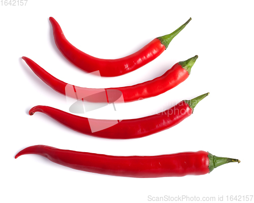 Image of Red hot chilli pepper