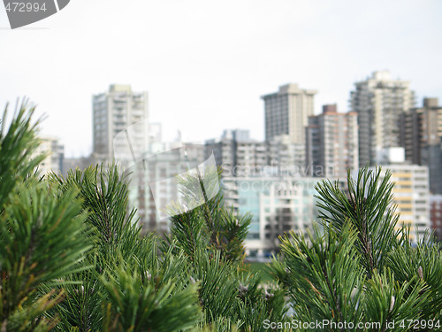 Image of vancouver city view