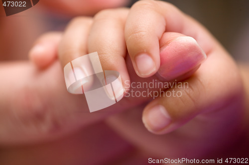 Image of Small fingers