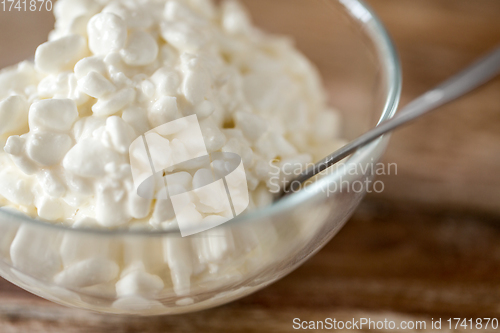 Image of close up of cottage cheese in bowl on wooden table