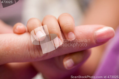 Image of Tiny fingers