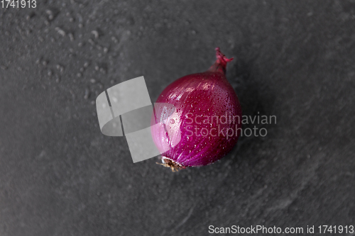 Image of red onion on wet slate stone background