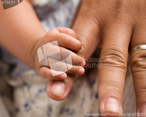 Image of Newborn hand