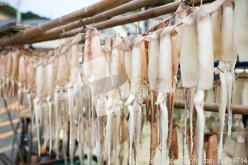 Image of Dried squid hanging on the stand