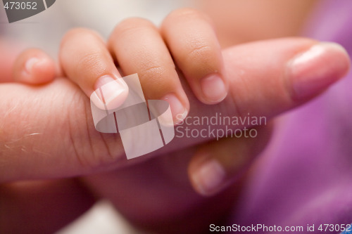 Image of Baby hand