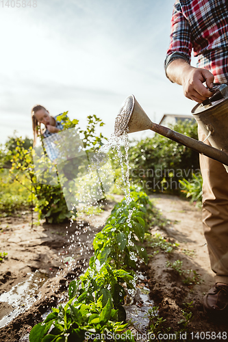 Image of Young and happy farmer\'s couple at their garden in sunny day