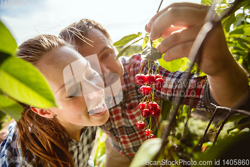 Image of Young and happy farmer\'s couple at their garden in sunny day