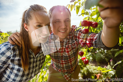 Image of Young and happy farmer\'s couple at their garden in sunny day