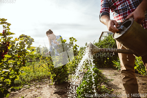 Image of Young and happy farmer\'s couple at their garden in sunny day