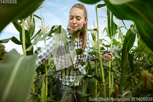 Image of Young farmer working at his garden in sunny day