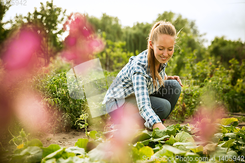 Image of Young farmer working at his garden in sunny day