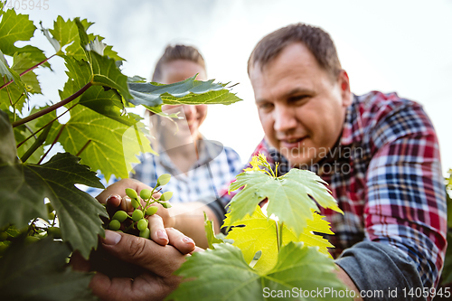 Image of Young and happy farmer\'s couple at their garden in sunny day