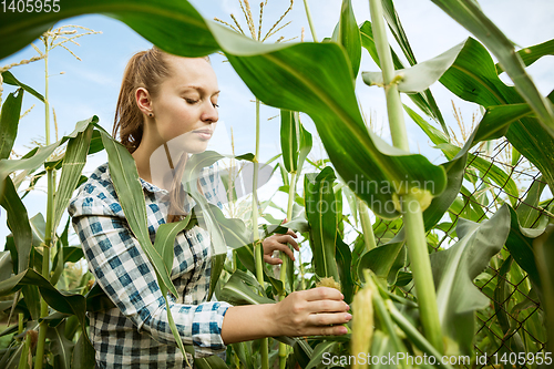 Image of Young farmer working at his garden in sunny day
