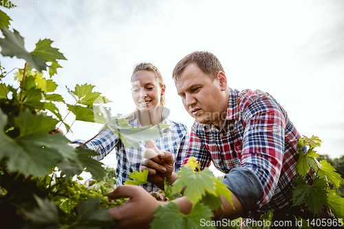 Image of Young and happy farmer\'s couple at their garden in sunny day