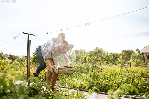 Image of Young and happy farmer\'s couple at their garden in sunny day