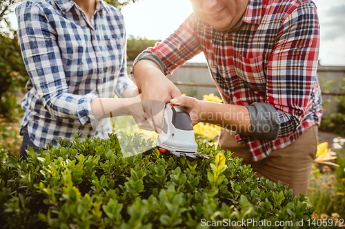 Image of Young and happy farmer\'s couple at their garden in sunny day