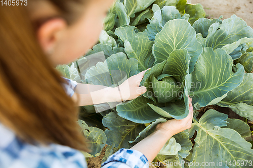 Image of Young farmer working at his garden in sunny day