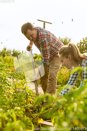 Image of Young and happy farmer\'s couple at their garden in sunny day