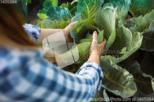 Image of Young farmer working at his garden in sunny day