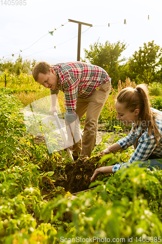 Image of Young and happy farmer\'s couple at their garden in sunny day