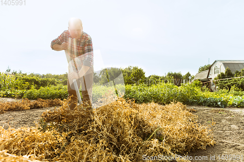 Image of Young farmer working at his garden in sunny day