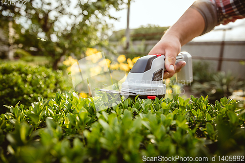 Image of Young farmer working at his garden in sunny day