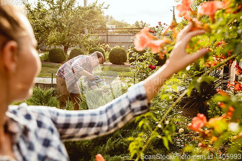 Image of Young and happy farmer\'s couple at their garden in sunny day