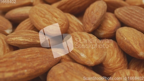 Image of Almond macro footage with camera motion