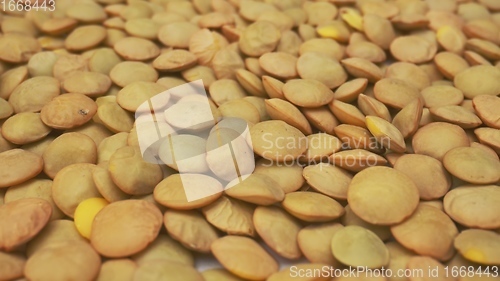 Image of Lentils macro footage with camera motion