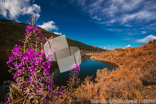 Image of Lake in the Altai Mountains