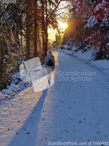 Image of Woman hiking on snow in white winter forest berore the sunset. Recreation and healthy lifestyle outdoors in nature