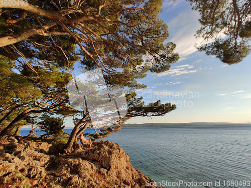 Image of Pensive woman on vacations, sitting and relaxing under large pine tree on bench by dip blue sea enjoying beautiful sunset light in Brela, Makarska region, Dalmatia, Croatia