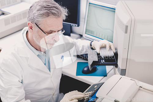 Image of Life scientist researching in the laboratory.