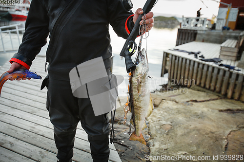 Image of diver with Norwegian fish