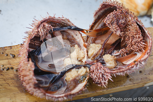 Image of sea urchin cut in half