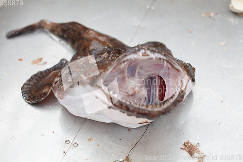 Image of raw angler fish