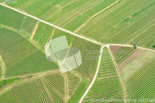 Image of aerial view vineyard scenery at Kaiserstuhl Germany