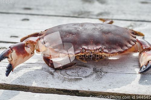 Image of alive crab standing on wooden floor