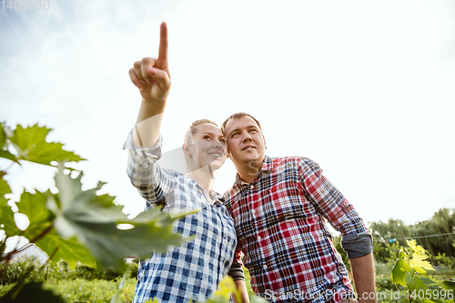 Image of Young and happy farmer\'s couple at their garden in sunny day